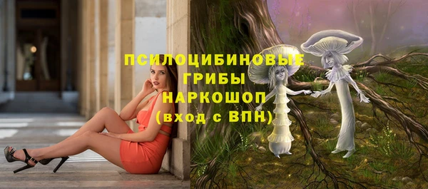 кокс Абаза