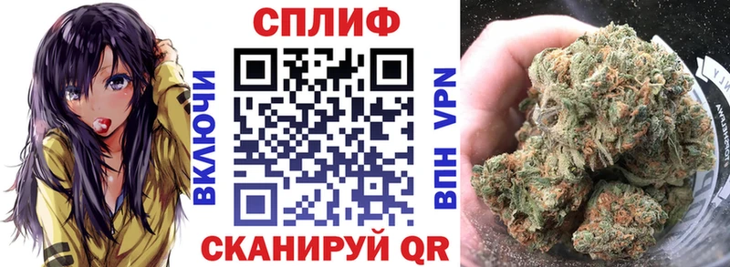 что такое наркотик Галич Каннабис THC 21%